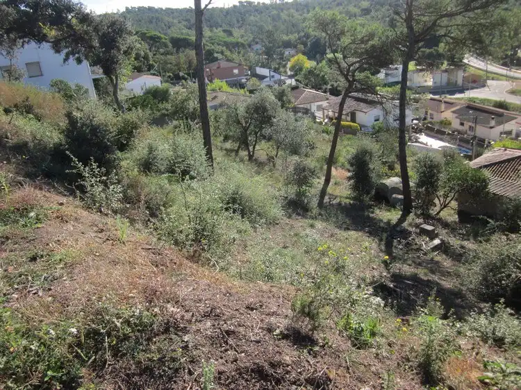 Terreno rústico en venta en Terrafortuna - Puig Ventós, imagen 9
