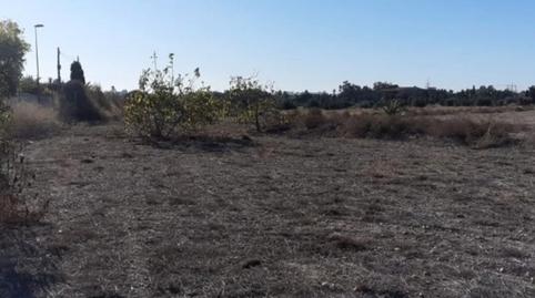 Foto 2 de Residencial en venda a Camino el Campet, 50p, Bellavista - Capiscol - Frank Espinós, Alicante