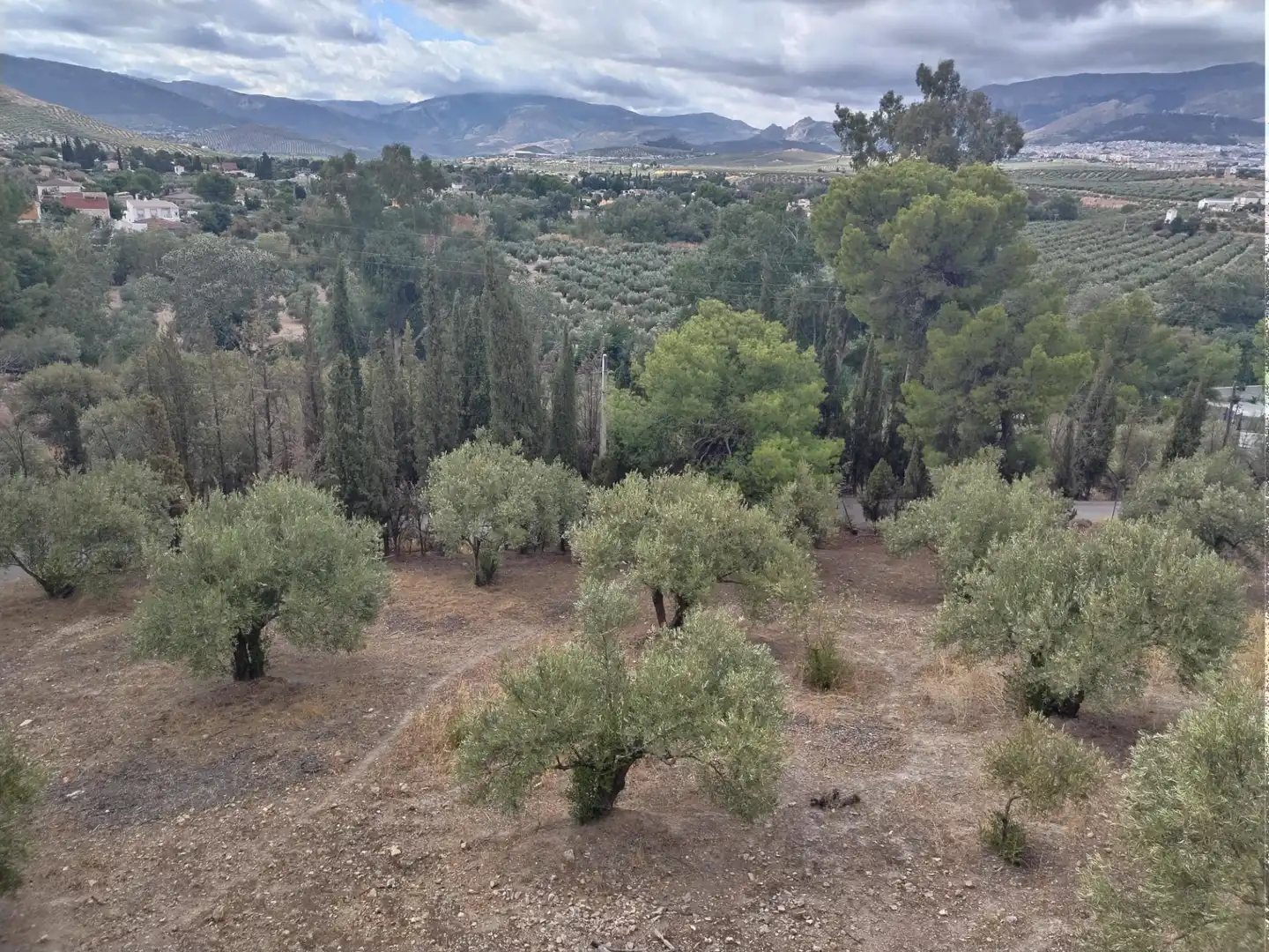 Villa con terrazza in vendita a Camino El Realejo, imagen 10