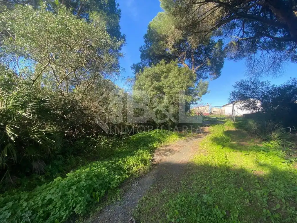 Finca rústica en venta en Gibraleón