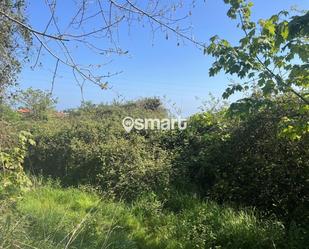 Land for sale in Caravia