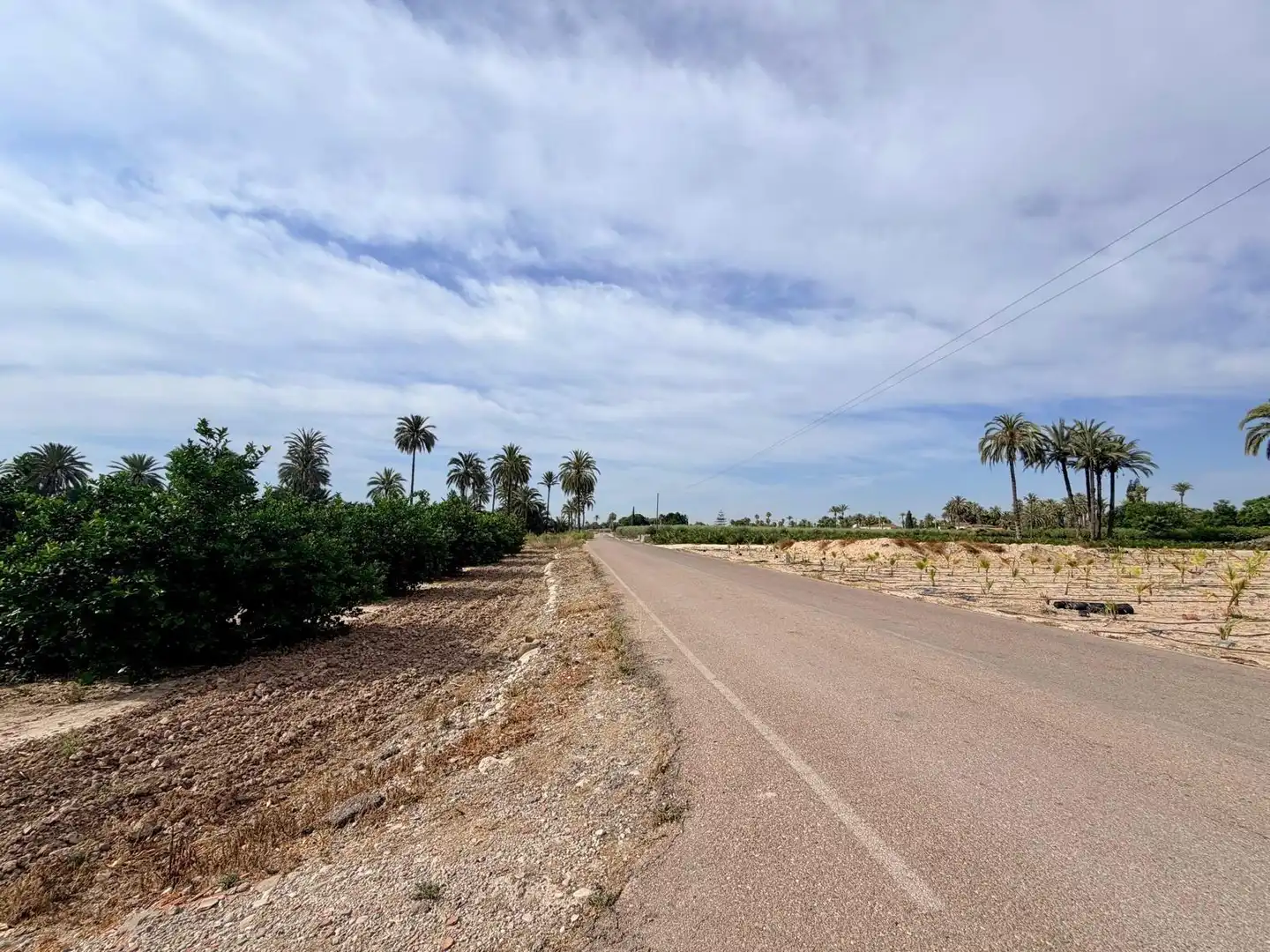 Houses for sale in Elche / Elx