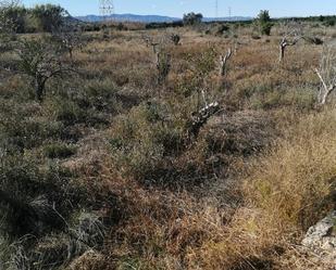Land for sale in Riba-roja de Túria