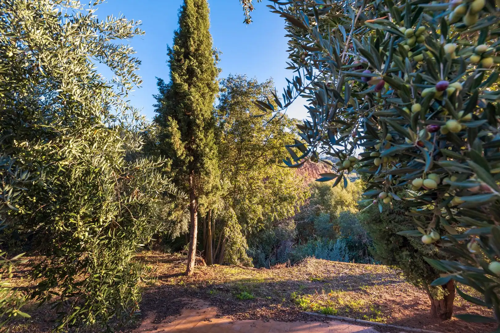 Casa o xalet en venda en Cogollos de la Vega