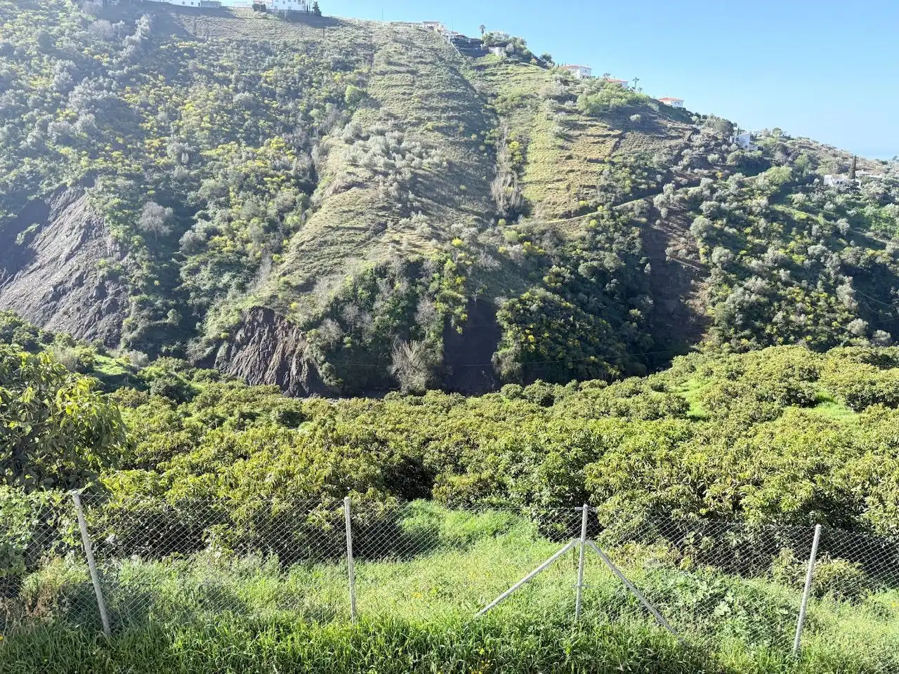 Land for sale in Canillas de Albaida
