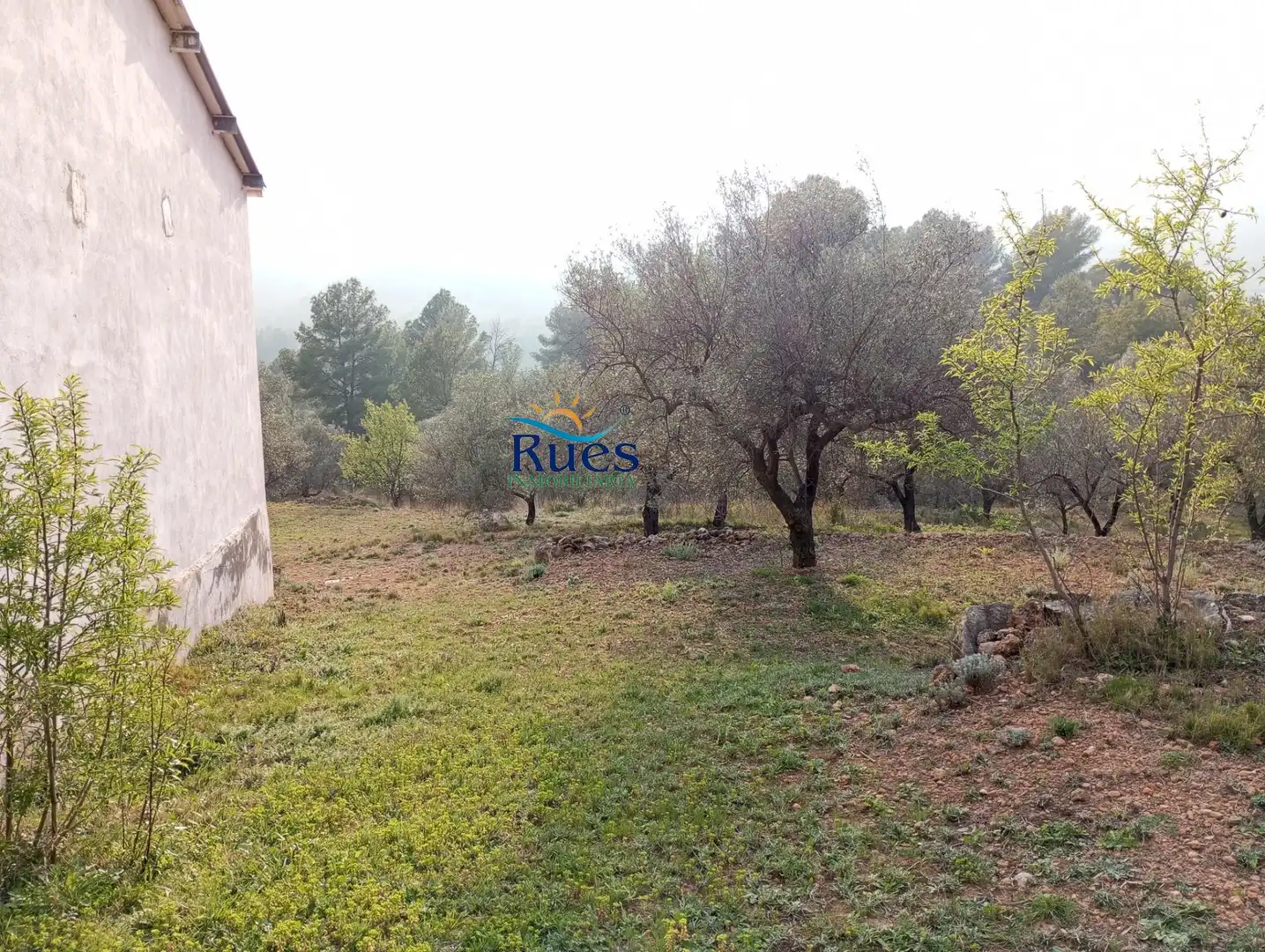 Country house zum Verkauf in MOLINO VIEJO, Figueroles