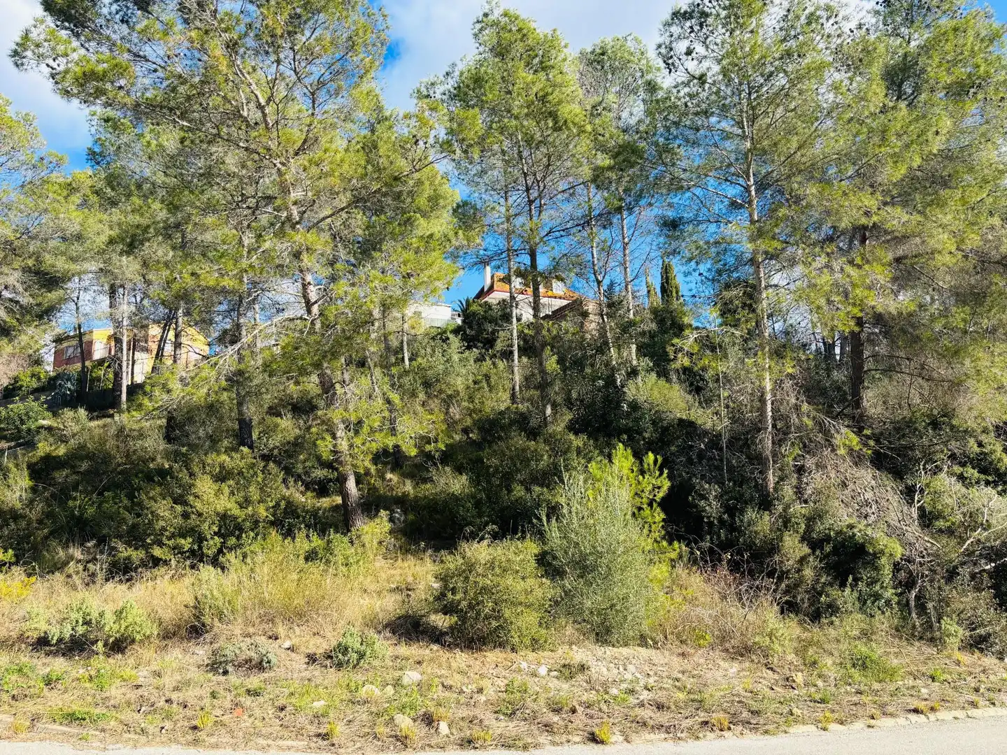 Grundstücke und Bauplätze zum Verkauf in Olivella, imagen 10