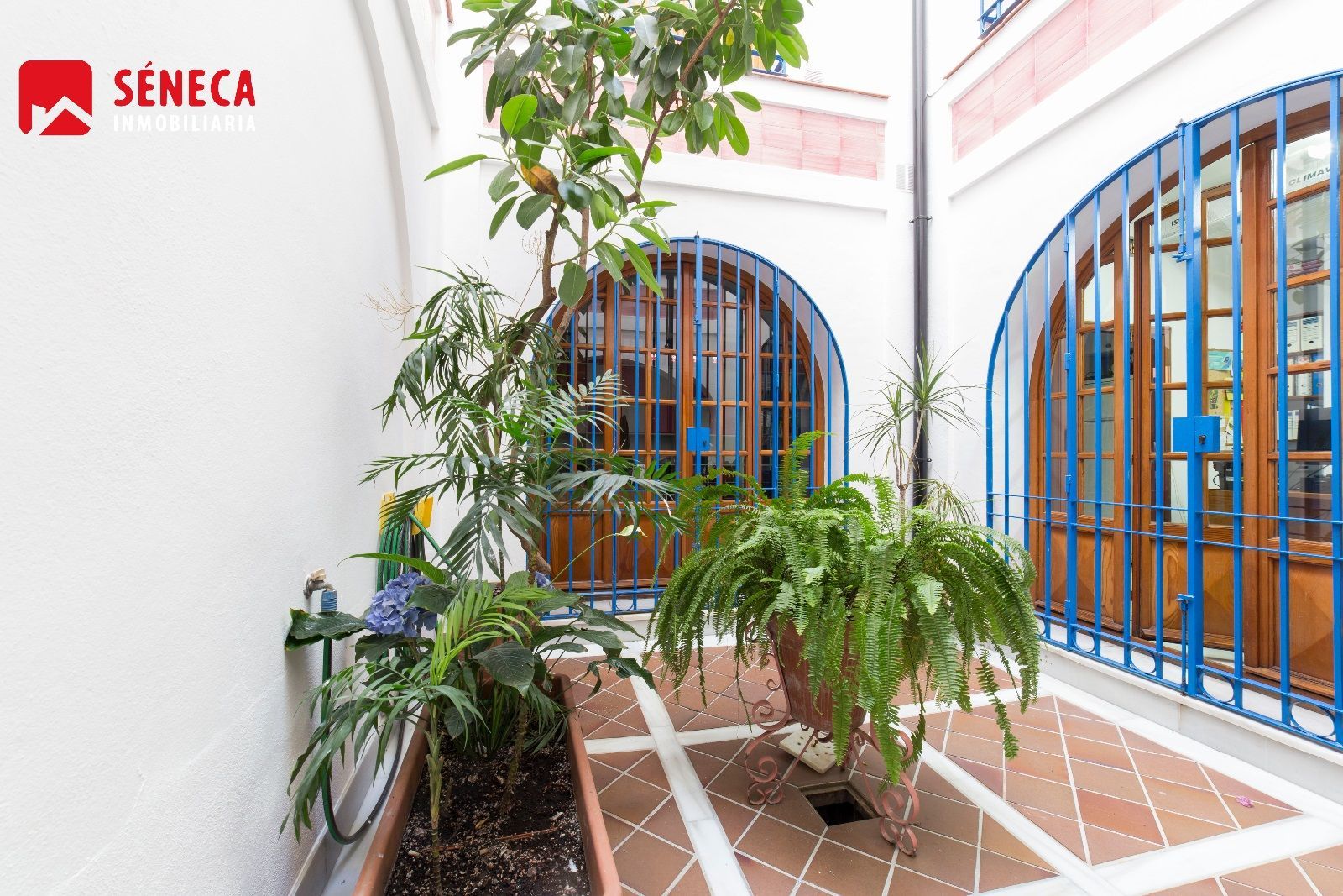 House or chalet for sale in Zona Centro