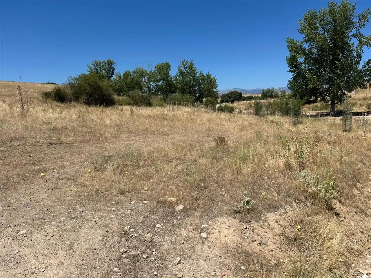 Terreny residencial en venda a ALTO DEL OLIVO, Polígono 45 Parcelas 50, 51 y 73, imagen 9