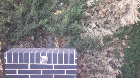 Foto 2 de Finca rústica en venda a Feria, Albacete