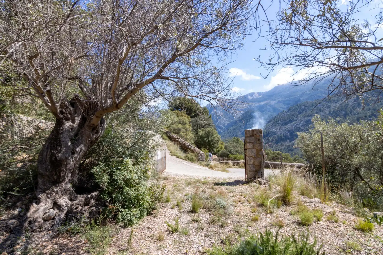 Vista exterior de Terreno en venta en Sóller