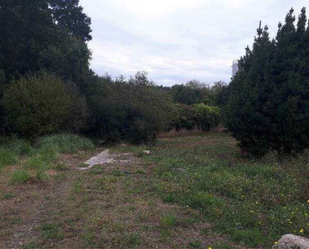 Land for sale in Culleredo