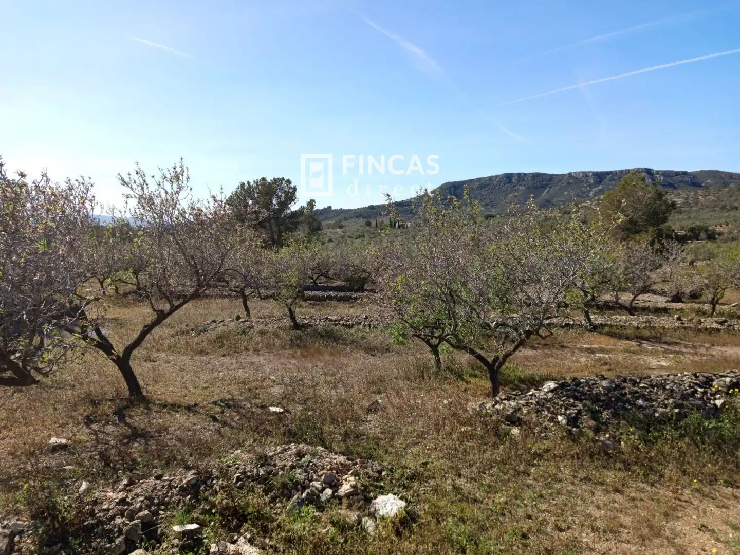 Landhaus zum Verkauf in RJGC+P9 Coll de l'Alba, imagen 27