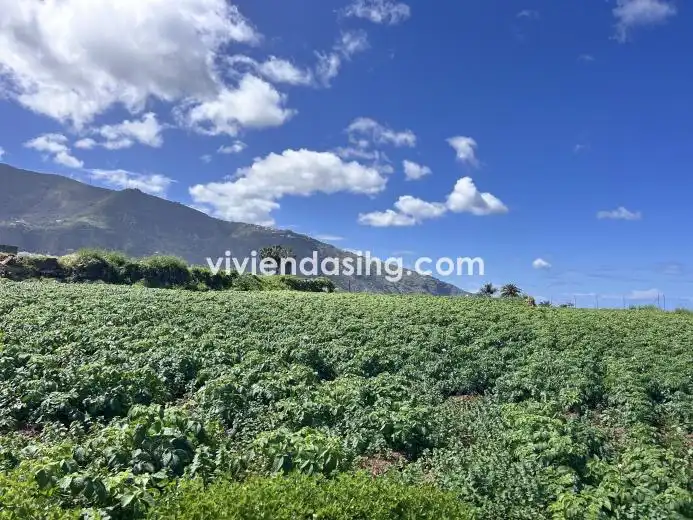 Residential for sale in Los Realejos