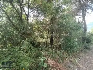 Residential land for sale in Avinguda Joan Miró 89, imagen 6