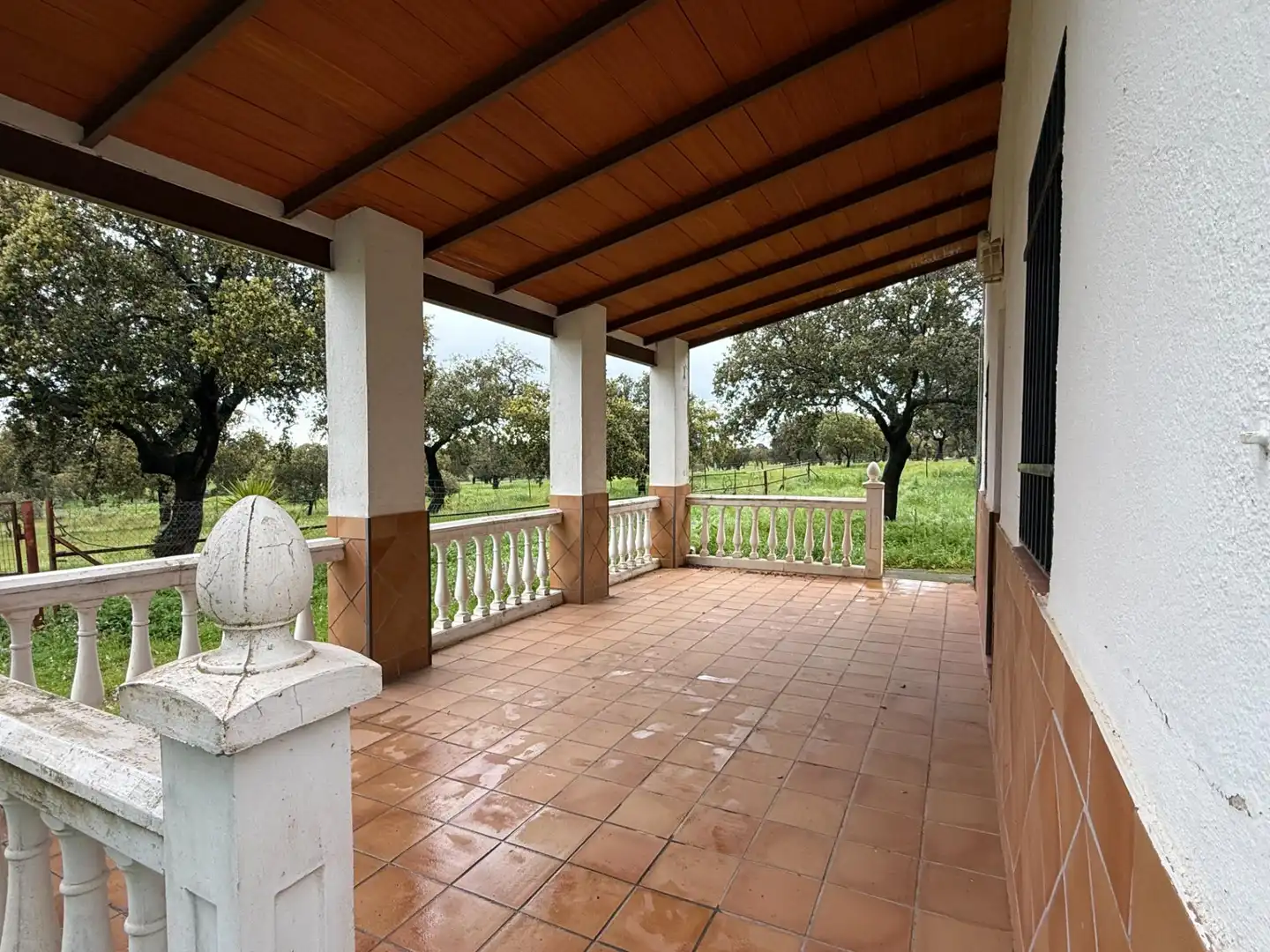 Terreny rústic en venda a Polígono POLíGONO 20 PARAJE 160 DEHESA DE ALFILEJO 25, imagen 11