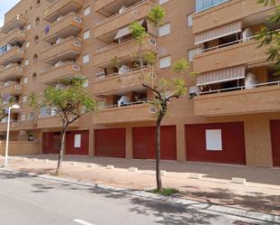 Local en venda a Avenida CENTRAL, Marina Trebol - Neptuno