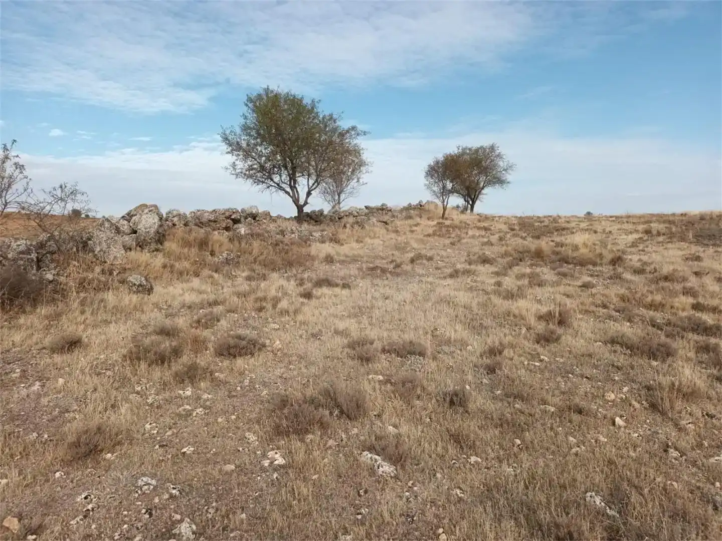 Terreno en venta en Uclés