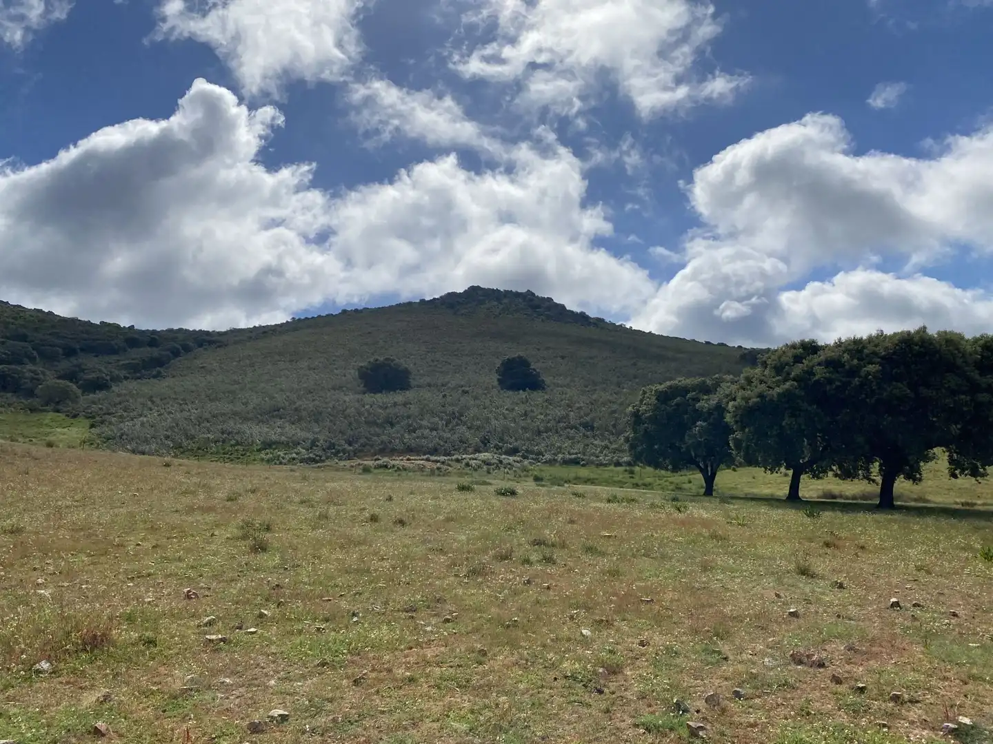 Terreno en venta en Deleitosa
