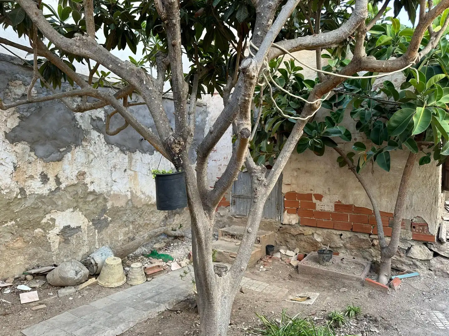 Garden of Country homes for sale in Elche / Elx  with Storage room