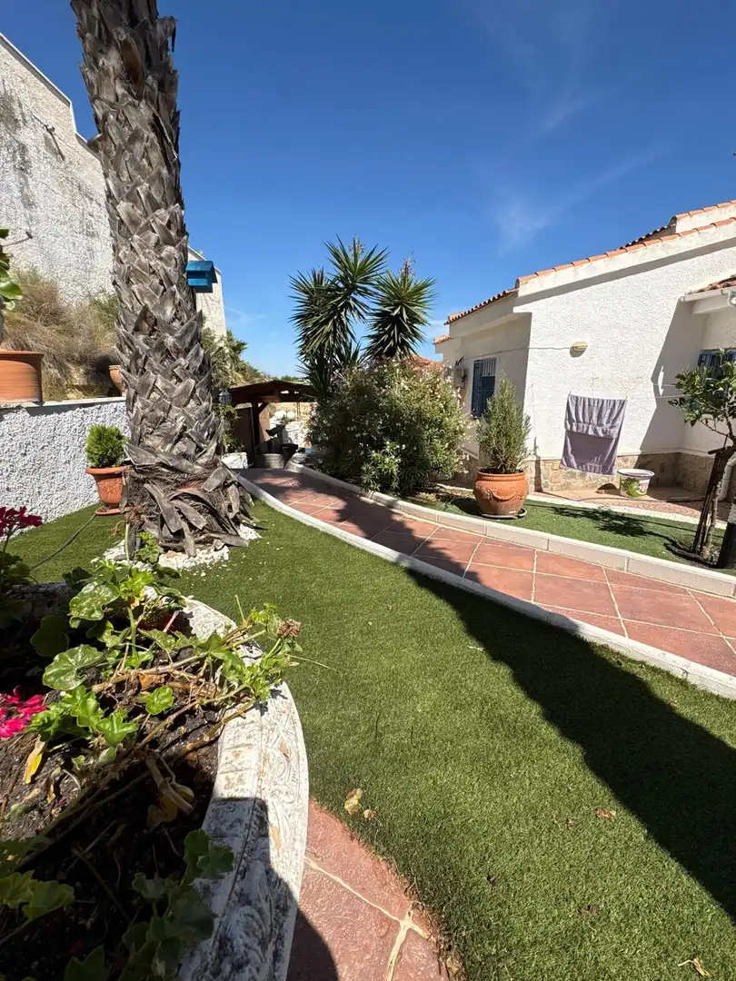 Vista exterior de Casa o xalet en venda en Rojales amb Aire condicionat, Calefacció i Jardí privat