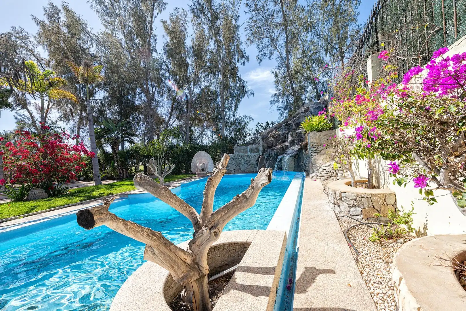 Piscina de Casa o xalet en venda en San Bartolomé de Tirajana amb Jardí privat, Terrassa i Traster