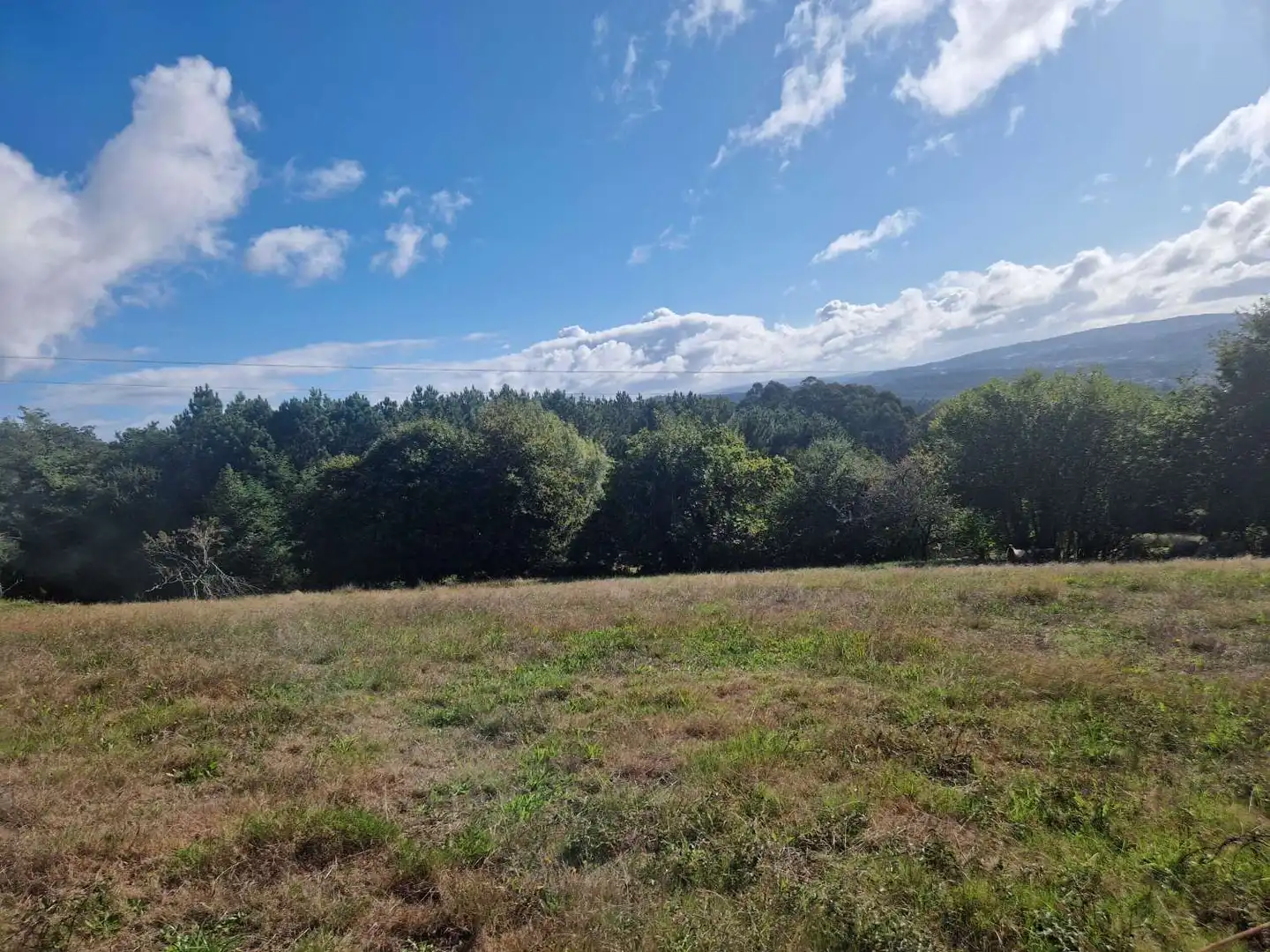 Lands and plots for sale in Brión, imagen 6