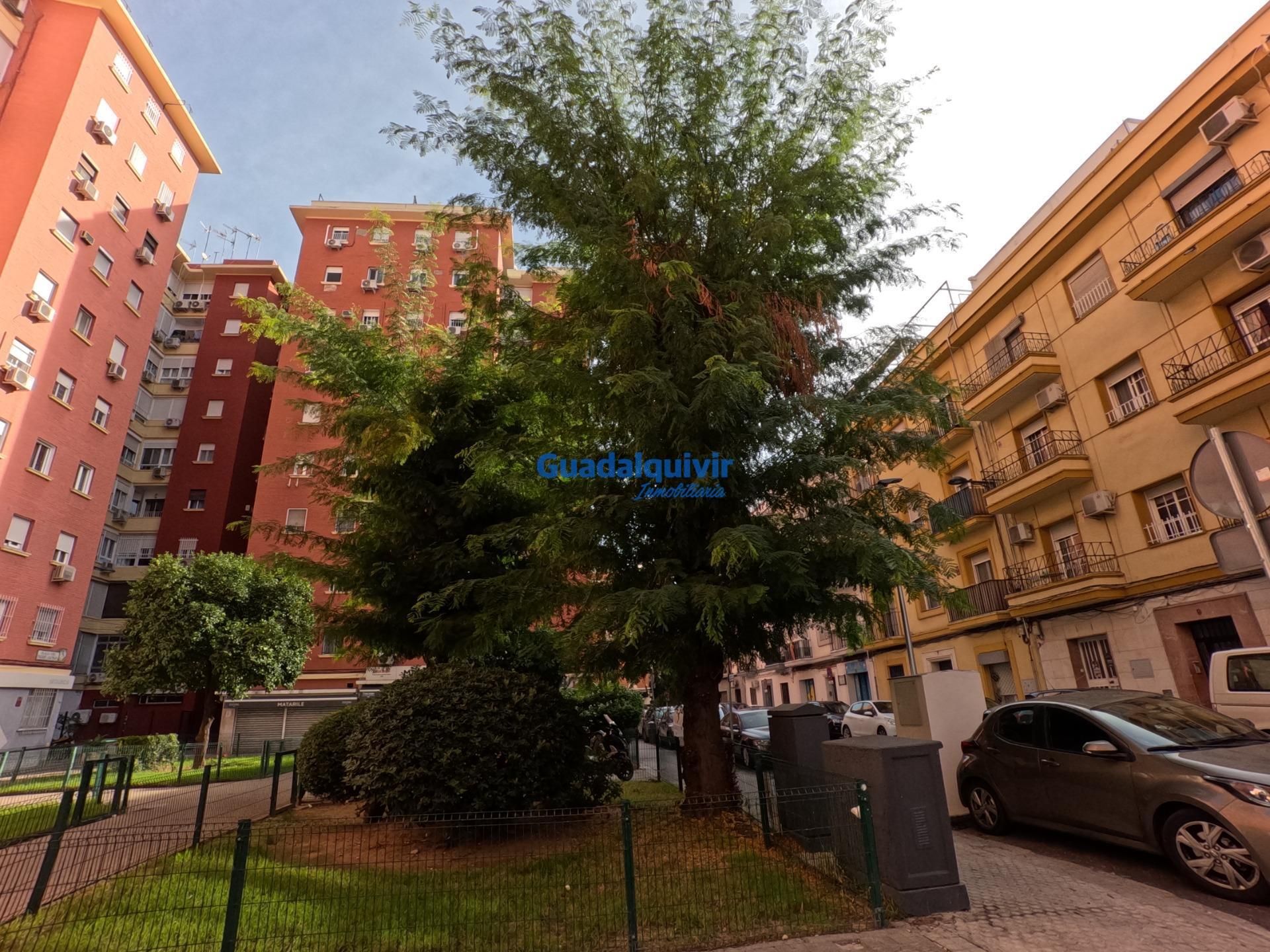 Exterior view of Flat for sale in  Sevilla Capital  with Terrace and Balcony