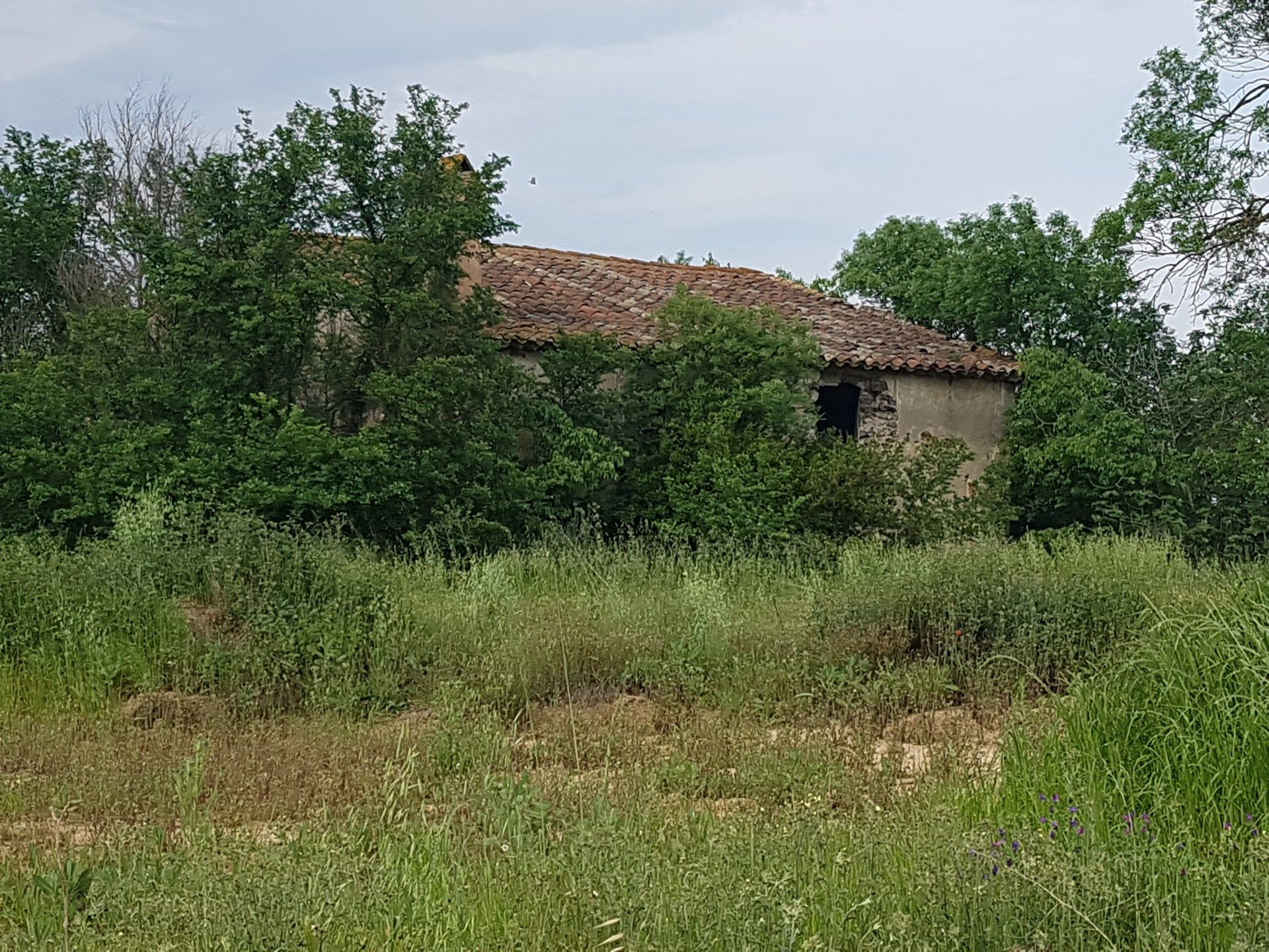 Country house zum verkauf in Pinós