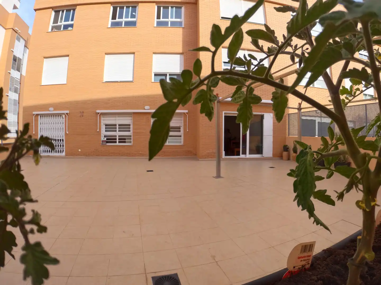 Piso con ascensor en venta en Carrer de Botànic Cavanilles