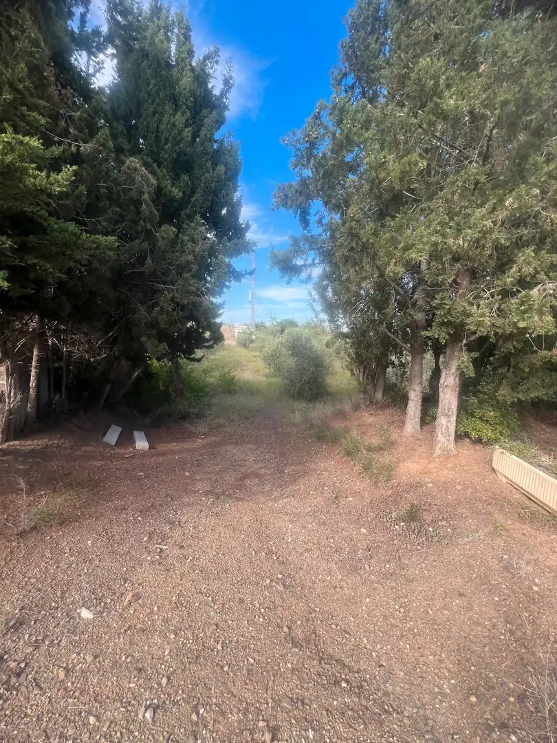 Terreno rustico in vendita a Almoster, imagen 2