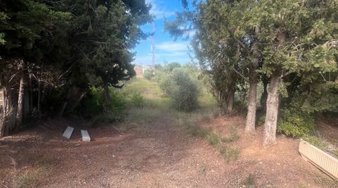 FINCA RUSTICA TOTALMENTE PLANA EN ALMOSTER, immagine 2
