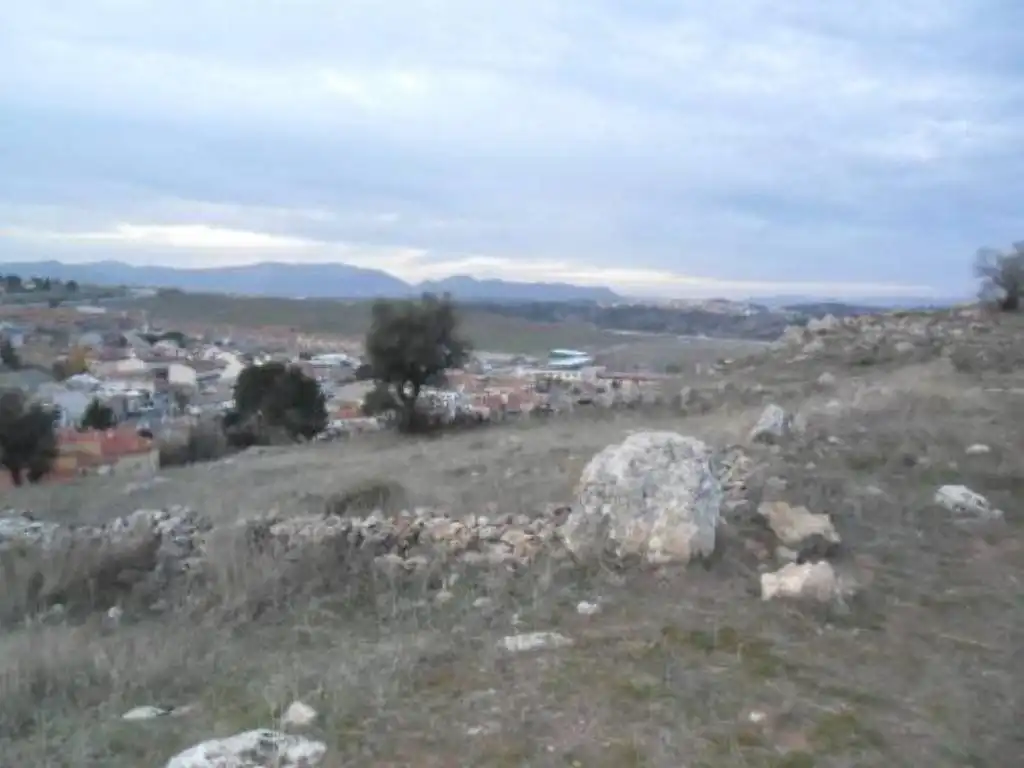 Rural land for sale in Calle LA TORRETA, imagen 7