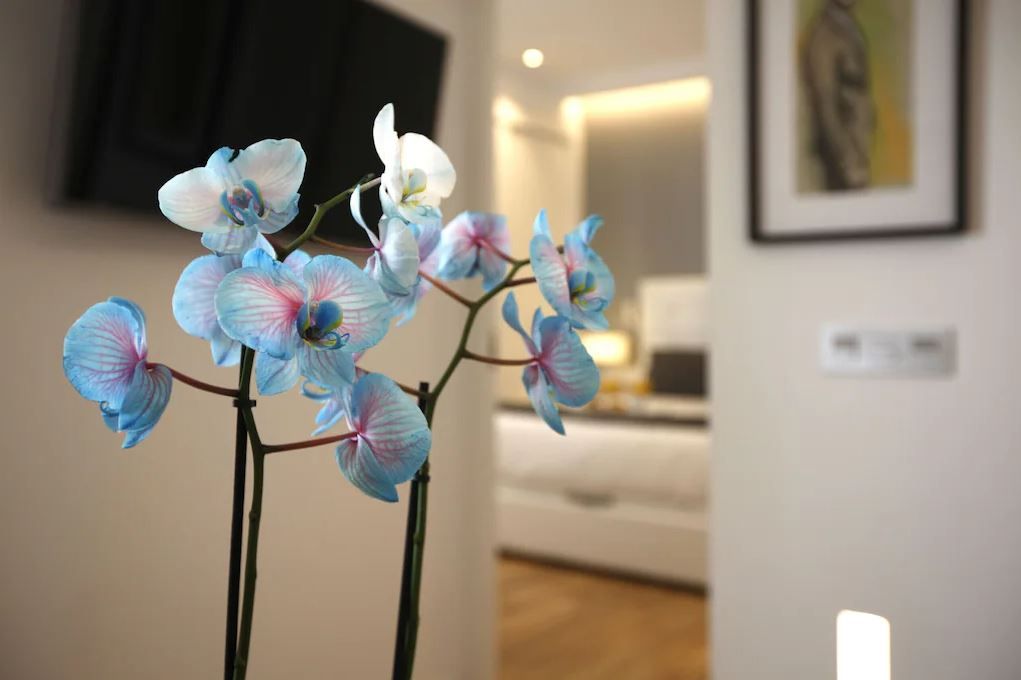 Bedroom of Flat to rent in Maó  with Air Conditioner, Furnished and TV