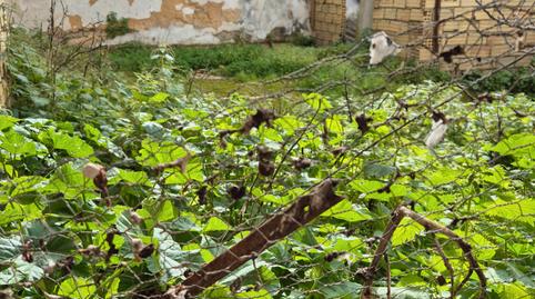 Foto 3 de Casa o xalet en venda a Calle Álvarez Hazañas, Centro, Sevilla