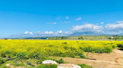 FINCA EN FUENSANTA, immagine 5