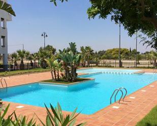 Piscina de Àtic en venda en Torre-Pacheco amb Aire condicionat, Terrassa i Piscina