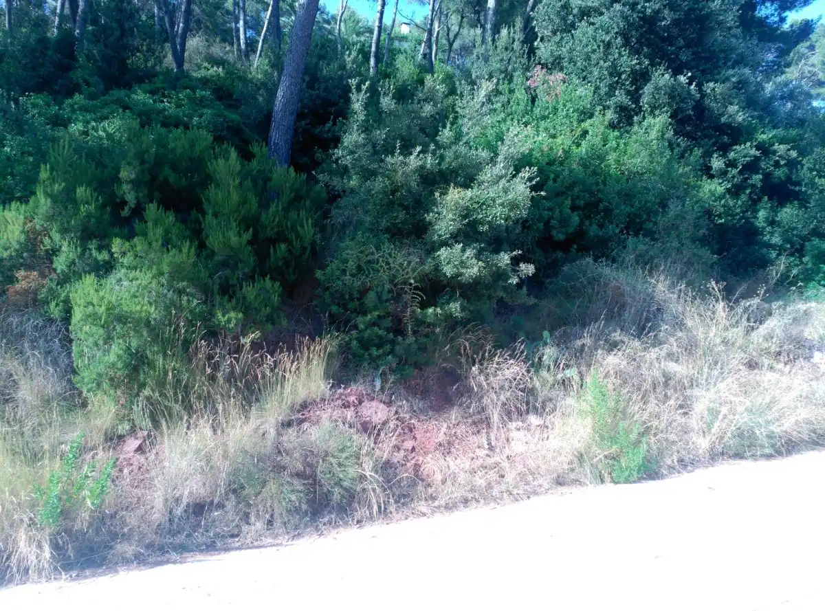 Terreni e lotti in vendita a Corbera de Llobregat, imagen 13