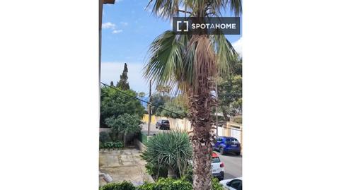 Foto 2 de Apartamento para compartir en Badia Blava - Badia Gran - Tolleric, Llucmajor