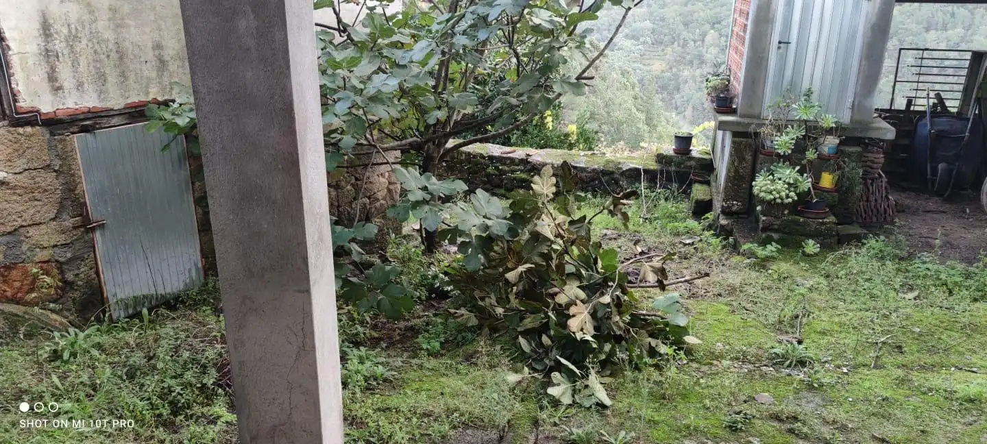 Jardí de Casa o xalet en venda en A Peroxa  amb Calefacció, Jardí privat i Terrassa