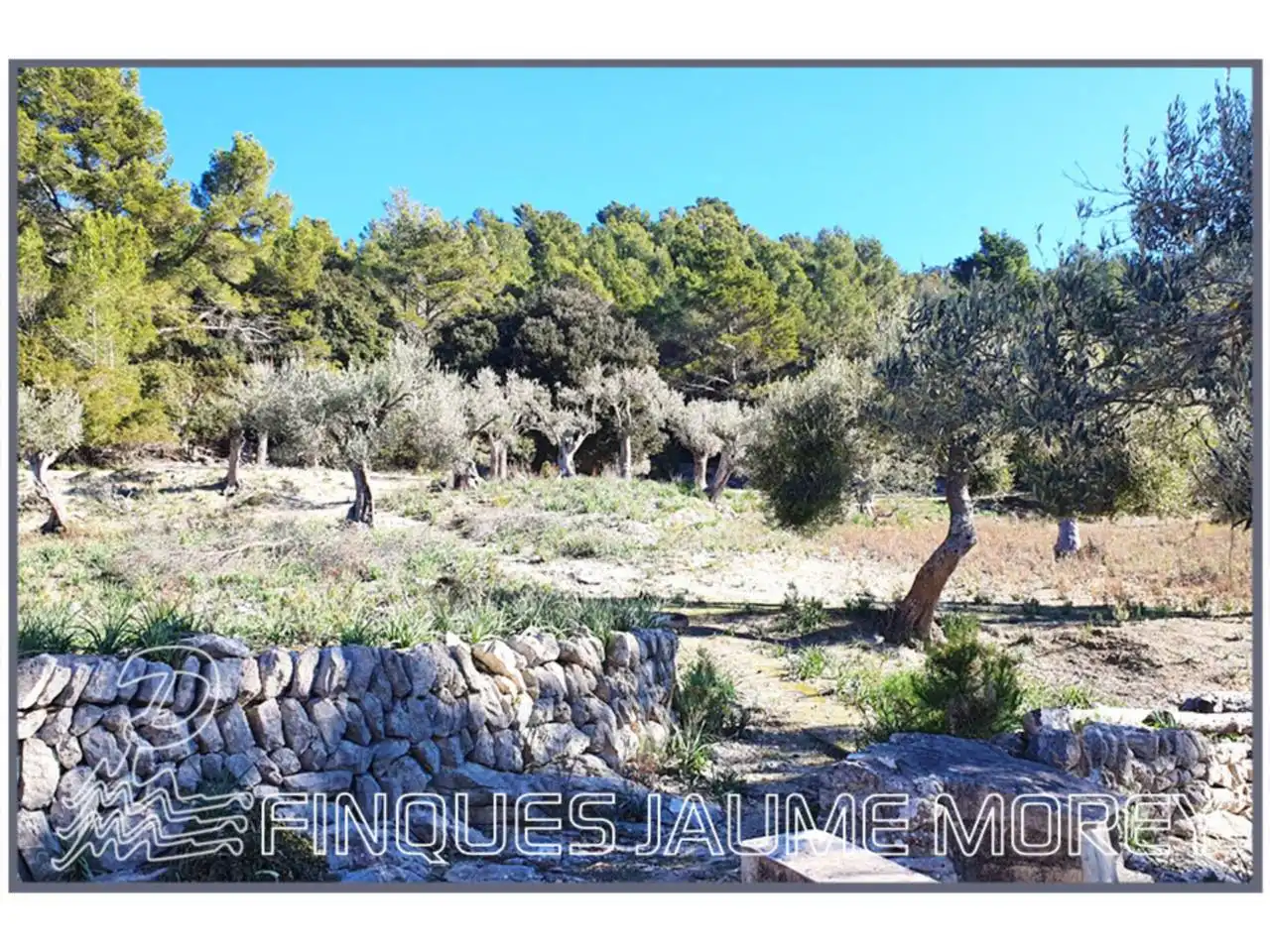 Finca rústica en venta en Mancor de la Vall con Jardín privado y Terraza