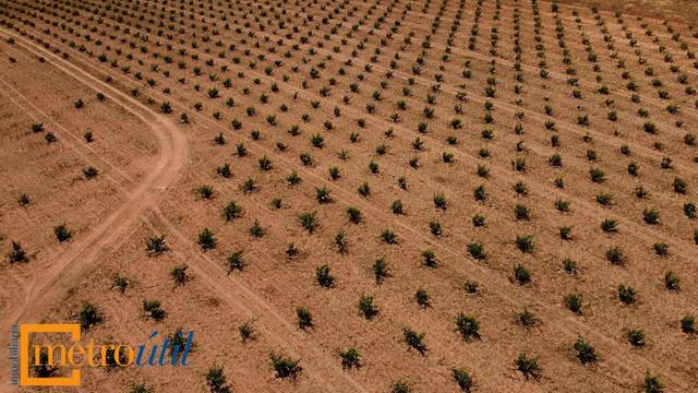 Terreno en Venta en N/A, -1 en Toro