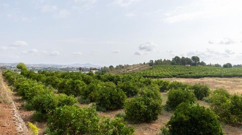 Photo 3 of Houses for sale in Partida Raco de Pasqual, Montesa, Valencia