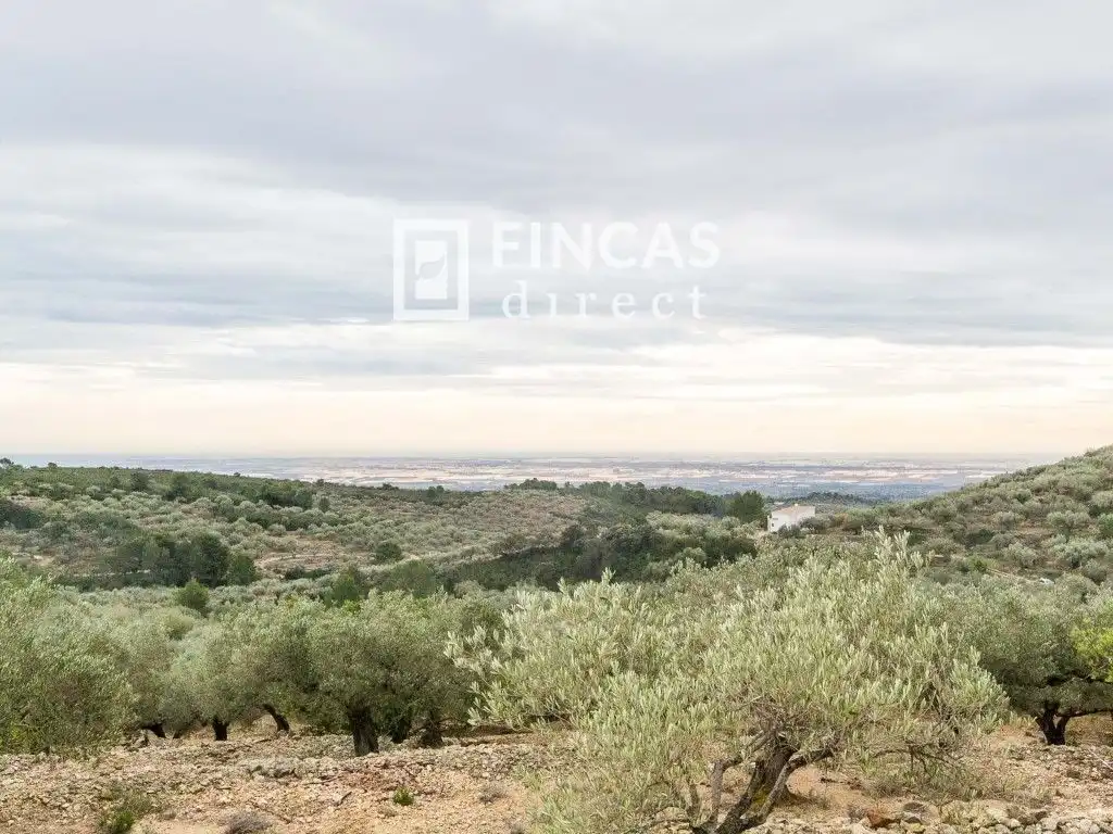 Finca rústica en venda en Tortosa amb Moblat