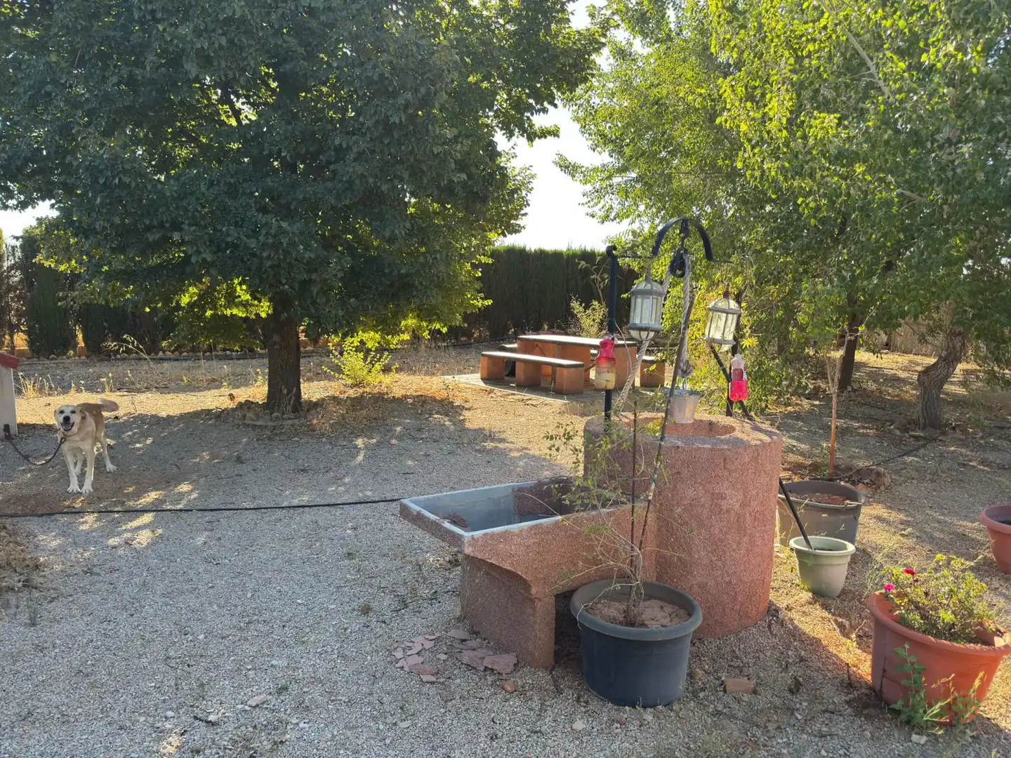 Casa rústica en venda a Valdepeñas, imagen 6