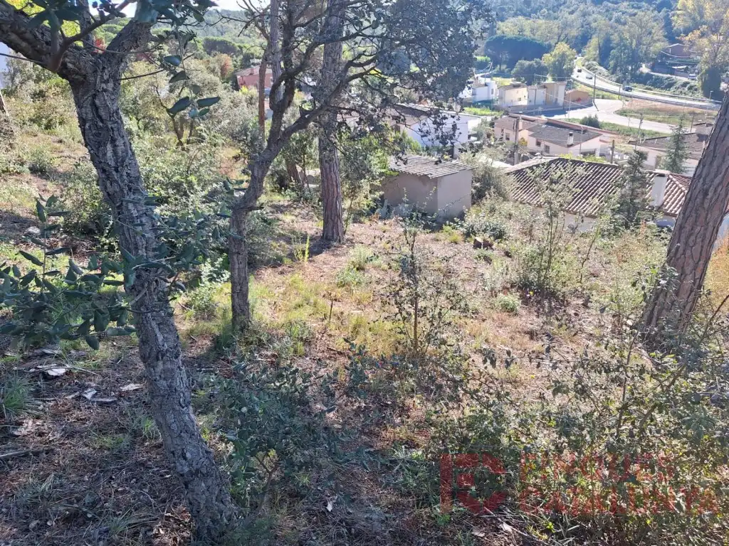Terreny residencial en venda a Carrer del Puig Colomer, imagen 9