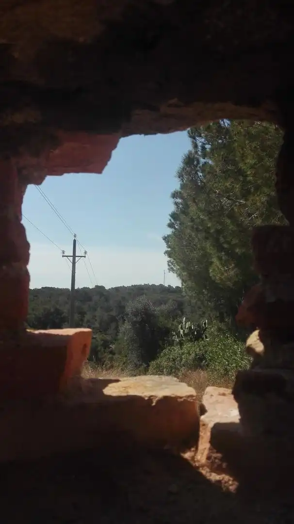 Terreni e lotti in vendita a Urbanitzacions de Llevant, imagen 13