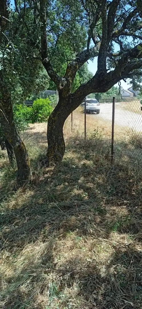 Terreno residenziale in vendita a Avenida el Casar, imagen 11