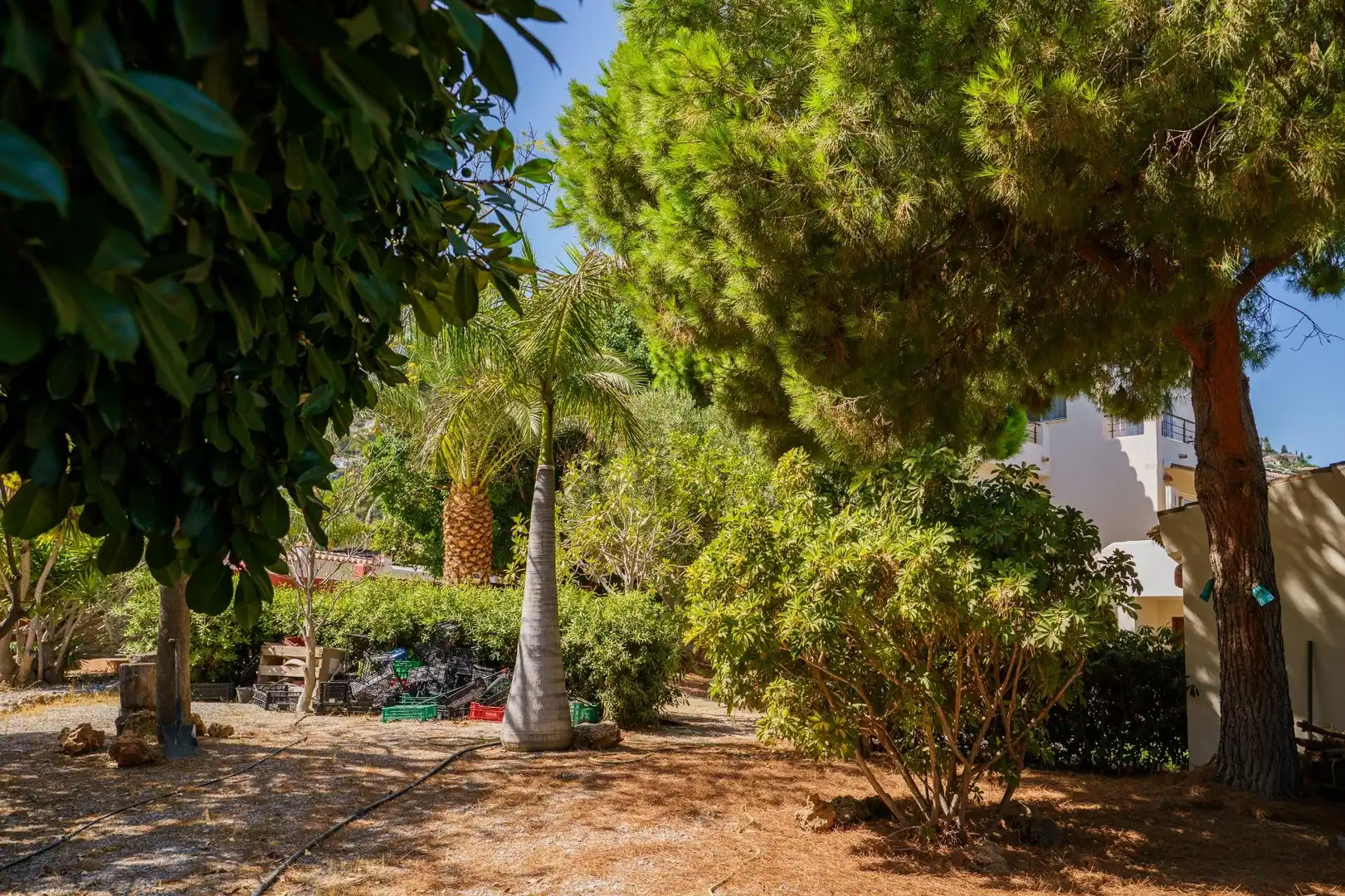 Detached house with terrace for sale in Calle Calle Naranjo, Monte de los Almendros, imagen 96
