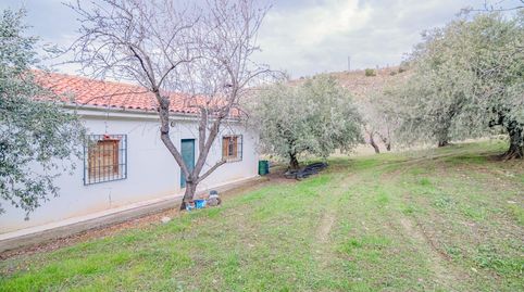 Foto 5 de Terreny en venda a Autovia Pinos Genil, Pinos Genil, Granada